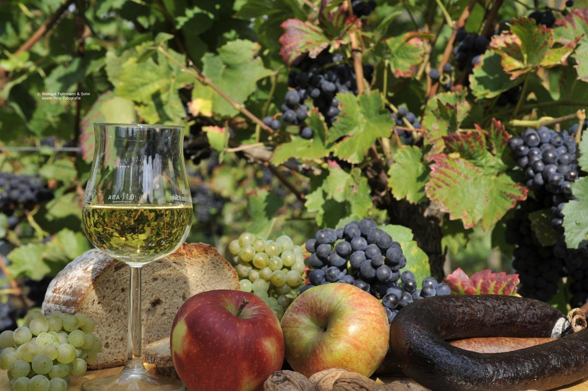 Ferienweingut Arnold Fuhrmann & Sohn Hotel Ellenz-Poltersdorf Eksteriør billede