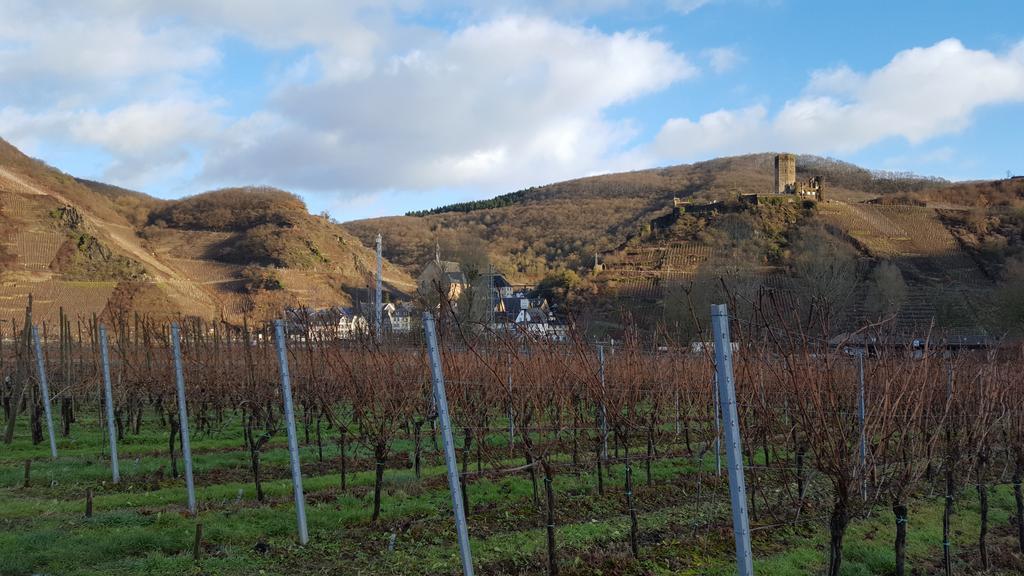 Ferienweingut Arnold Fuhrmann & Sohn Hotel Ellenz-Poltersdorf Eksteriør billede